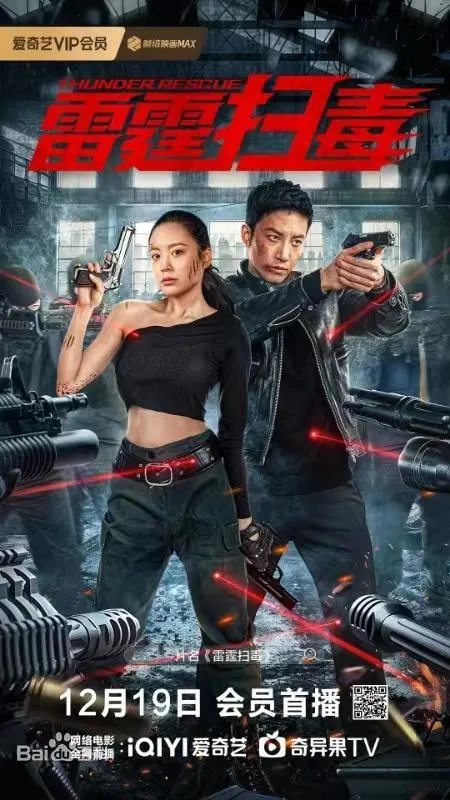 Highs and Lows (雷霆扫毒) poster
