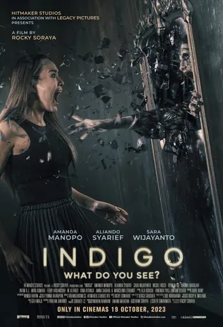 Indigo 2023 poster